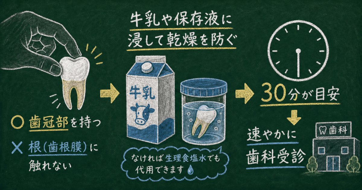 歯が抜けた・欠けた直後に実践すべき保管手順と時間的猶予