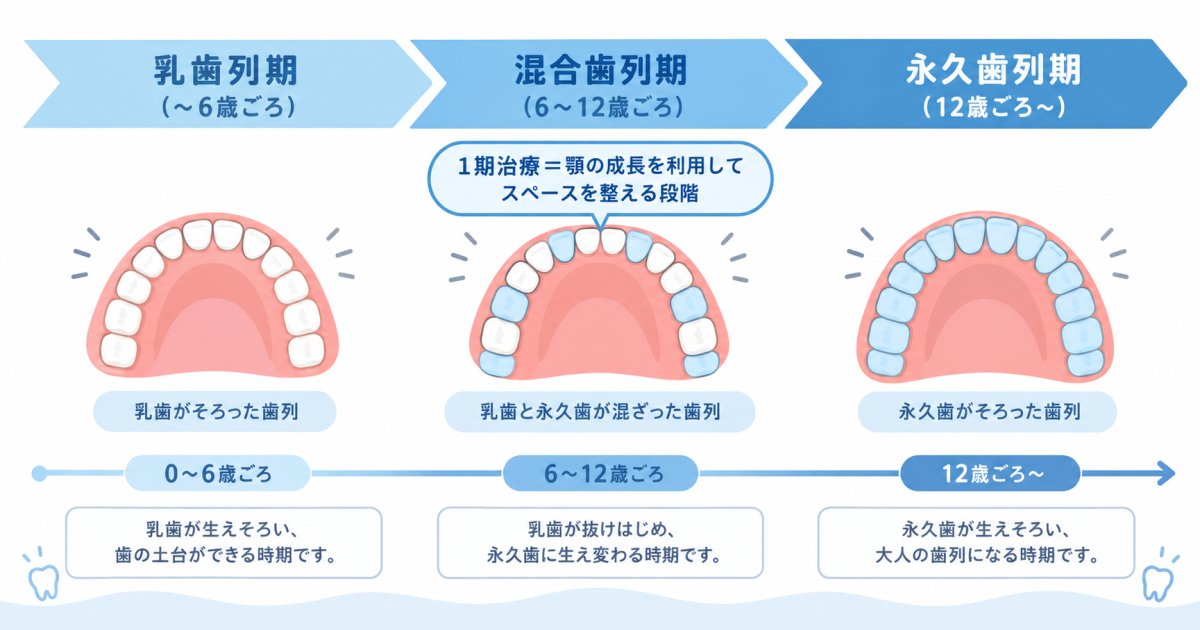 1期治療とは何歳ごろから?乳歯・混合歯列期に行う理由