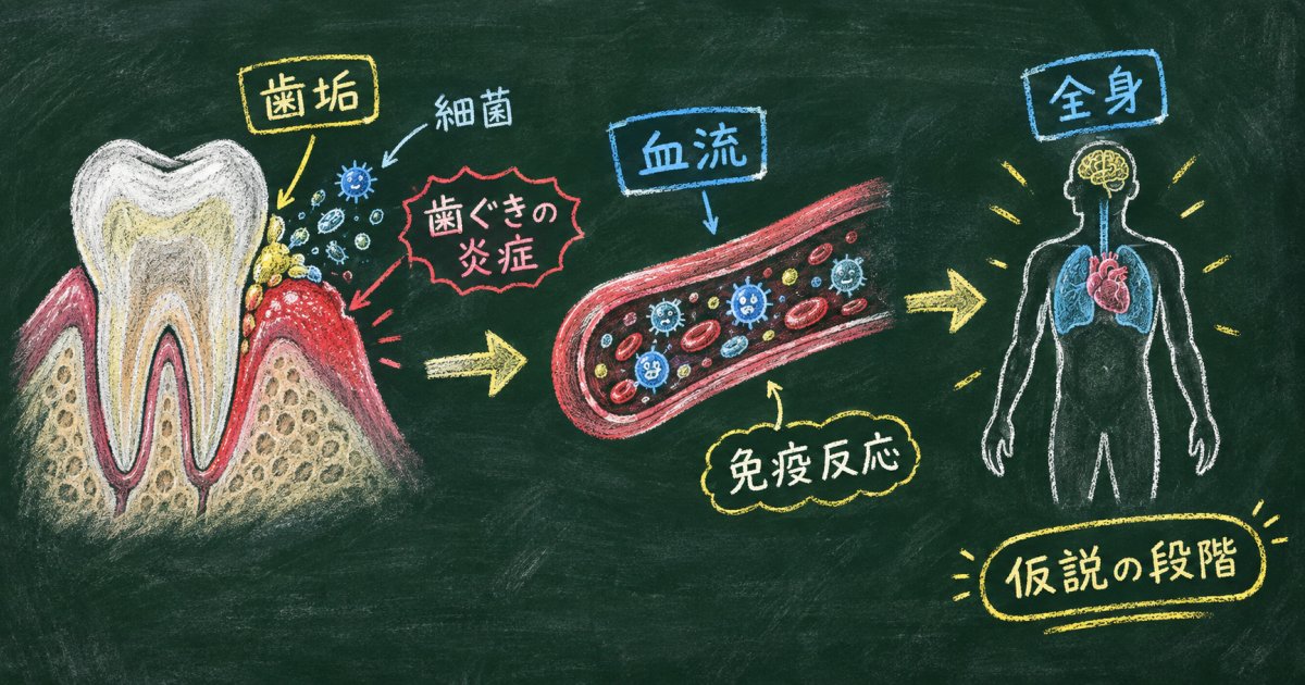 歯周病菌と歯ぐきの炎症は、全身にどう関わる？